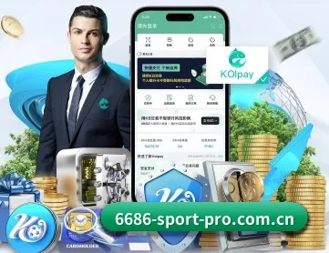 6686体育 APP